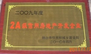 2009年2A級(jí)信用房地產(chǎn)開(kāi)發(fā)企業(yè)